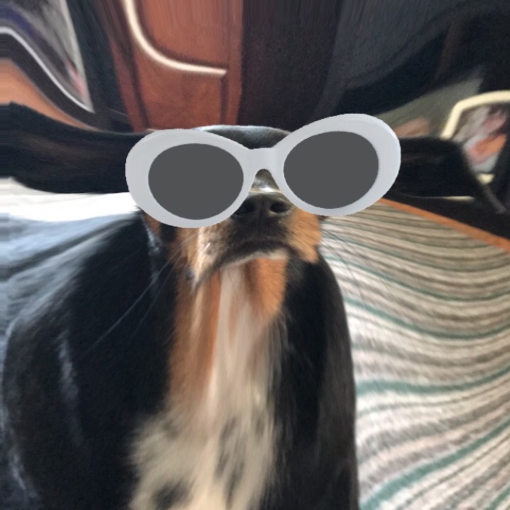 Meet your Posher, Kylie